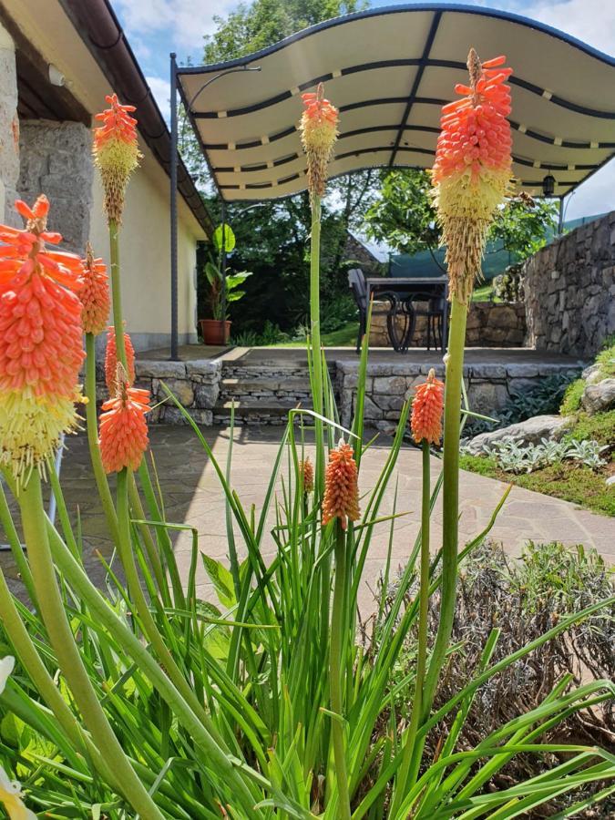 Holiday Home Demark Jurdani ภายนอก รูปภาพ